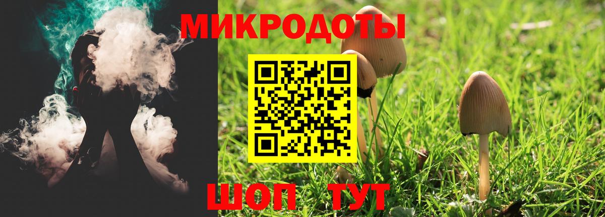 Галлюциногенные грибы GOLDEN TEACHER  Вход с VPN  Верхняя Пышма 