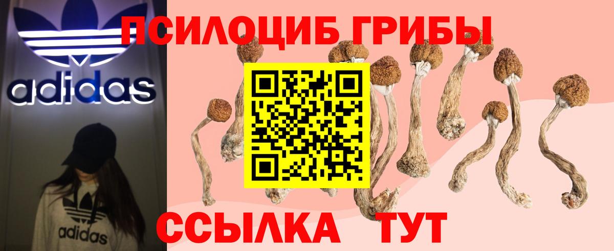 Галлюциногенные грибы ЛСД Верхняя Пышма